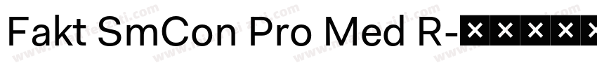 Fakt SmCon Pro Med R字体转换
